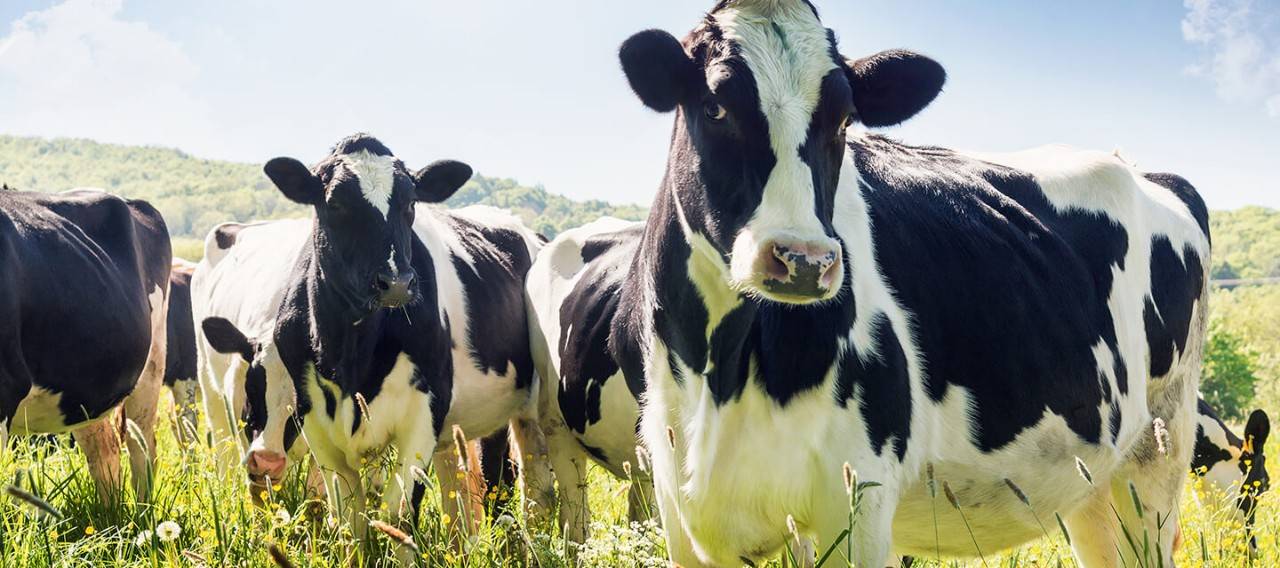 GLP-ButanoyPropanoAgricultura-hero.jpg