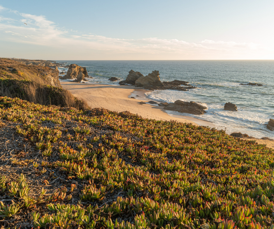 Praia da Samouqueira.png