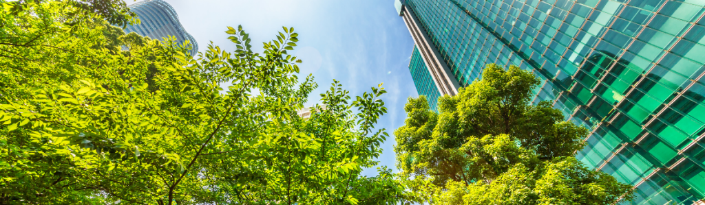 edifícios verdes