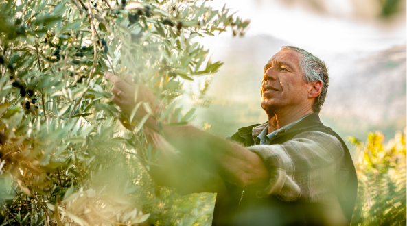 Apoios para agricultura em 2024 através do Programa Portugal 2030  