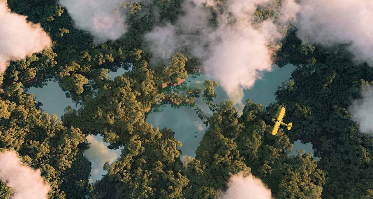 Avioneta sobrevolando un bosque